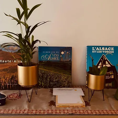 Alsace Ac Golf, Terrace & Parking Apartamento Rouffach