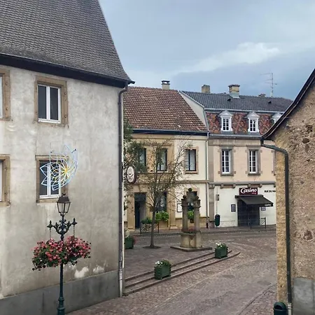 Lejlighed Alsace Ac Golf, Terrace & Parking Rouffach